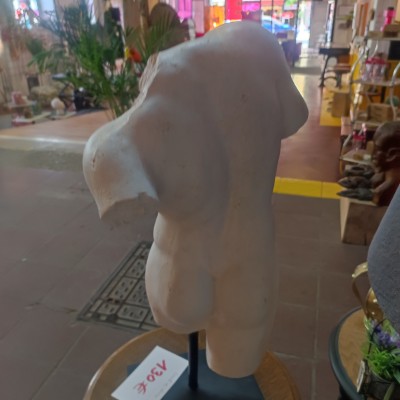 Buste en résine